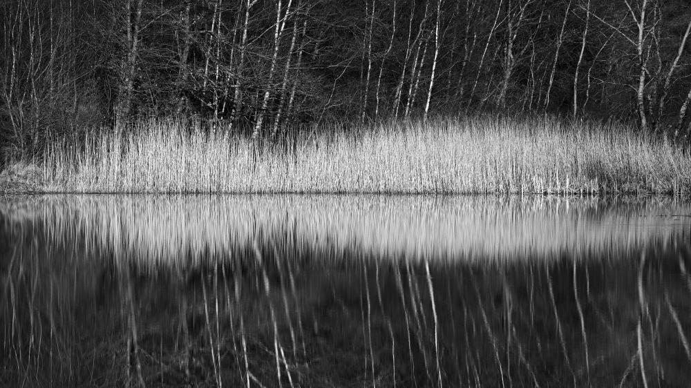 I wonder what this would sound like